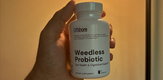 The Best Time to Take a Probiotic